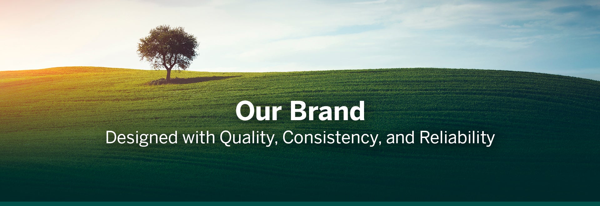 Our Brand Banner