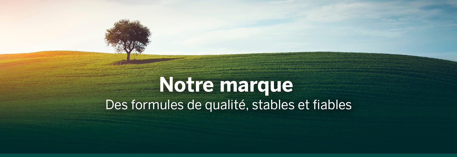 Our Brand Banner FRE